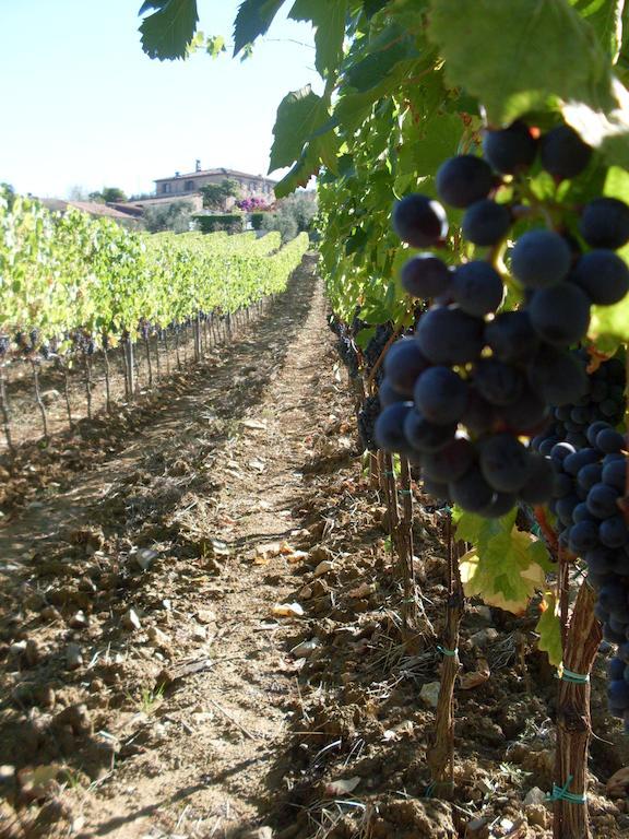 Amina, Winery&hiking