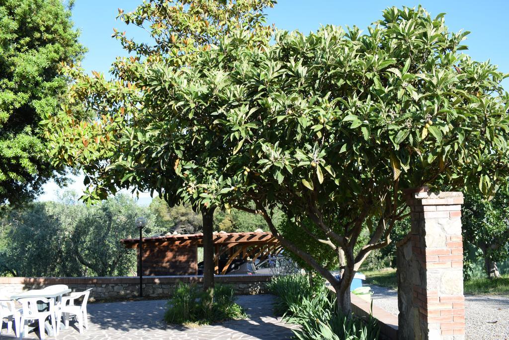 Amina, Winery & Hiking Farm stay *