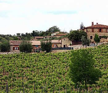 Amina, Winery & Hiking
