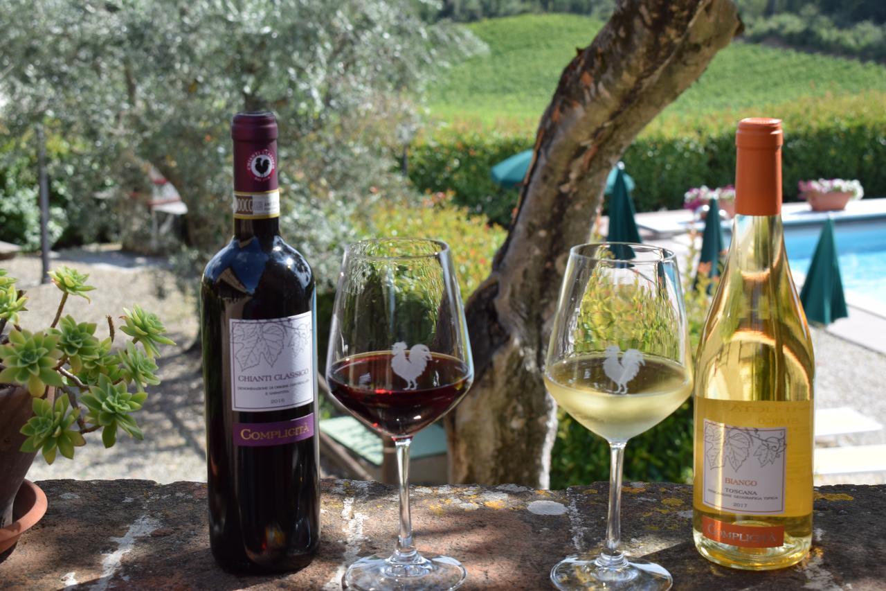 Agroturismo Amina, Winery&hiking *
